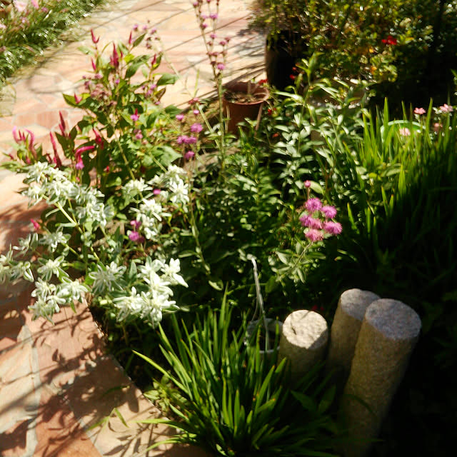 Tomopさんの実例写真