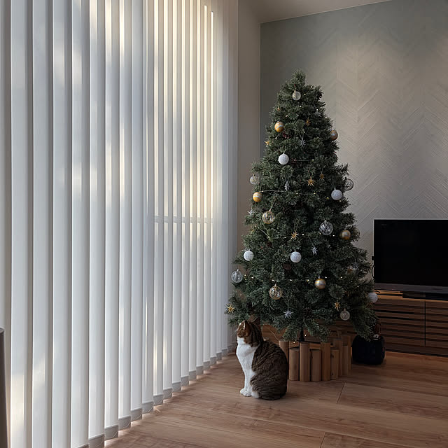 tiroさんの実例写真