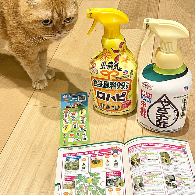 hm_myhomeさんの実例写真