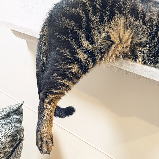 hihaさんの部屋