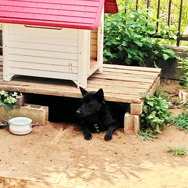 sadyさんの実例写真