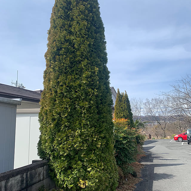 masakoさんの部屋