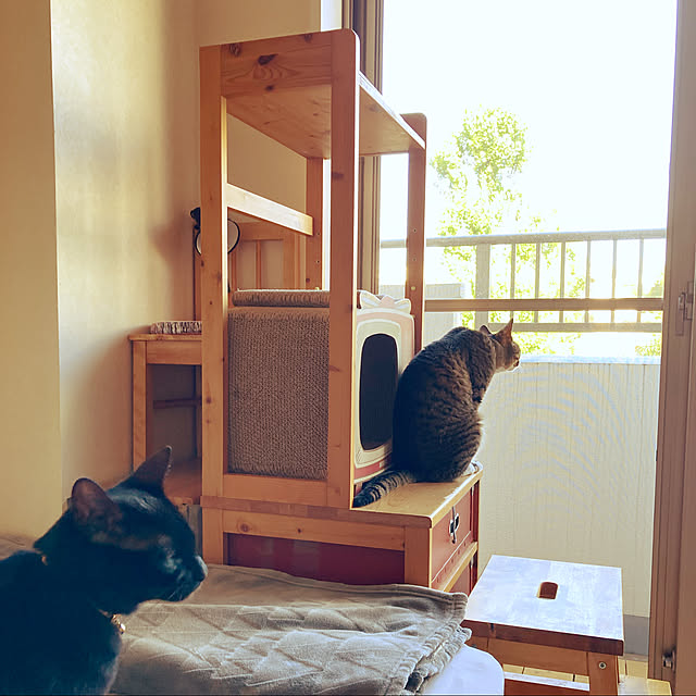 suemonta14さんの実例写真