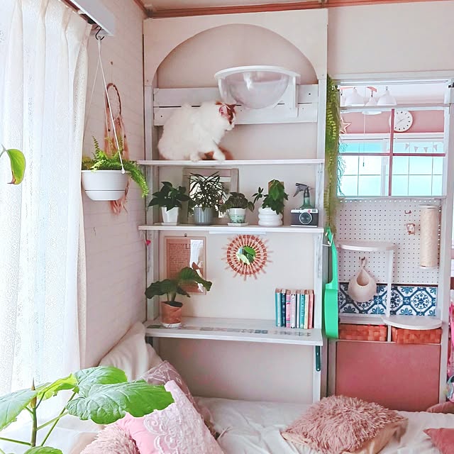 rumi_ebiさんの実例写真