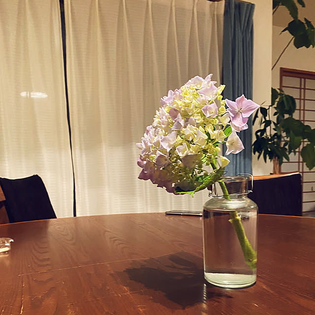 kotaroさんの部屋