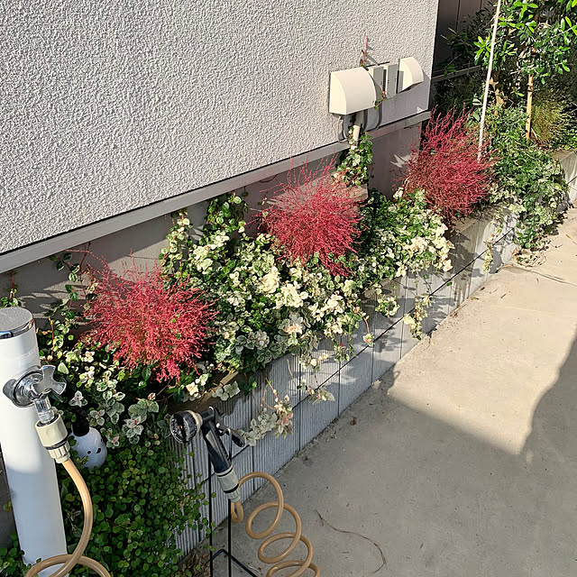 Minteaさんの実例写真