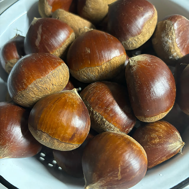 syutmmさんの部屋