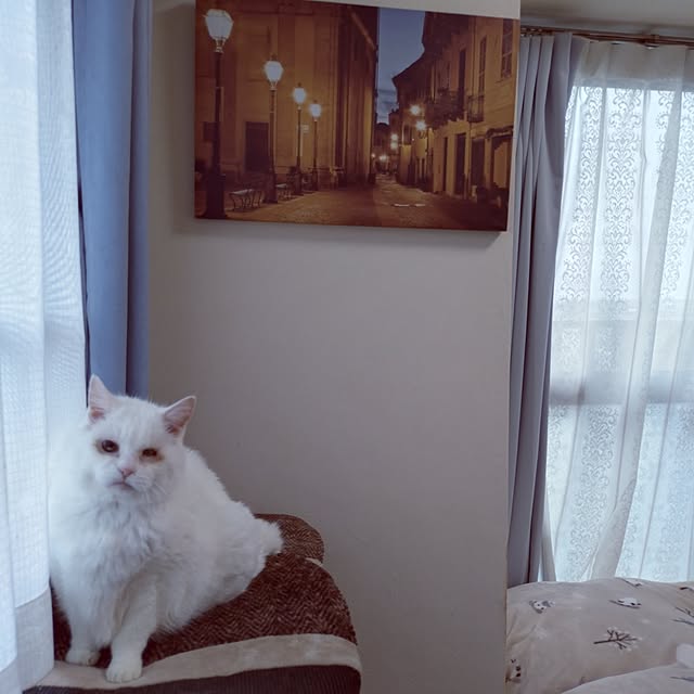 NOAHさんの実例写真