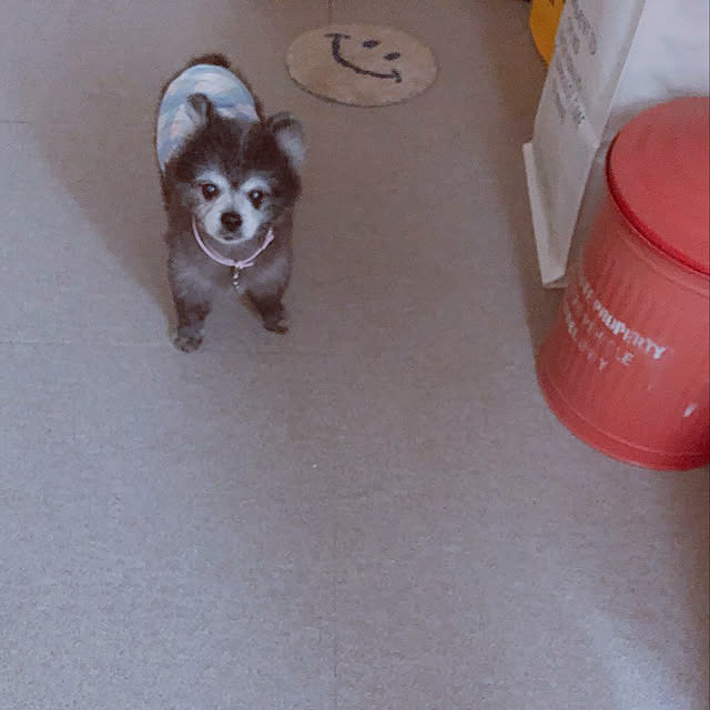 e-aiaiさんの実例写真