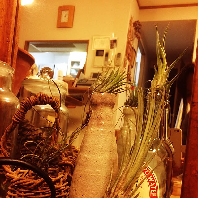 naonaoさんの実例写真