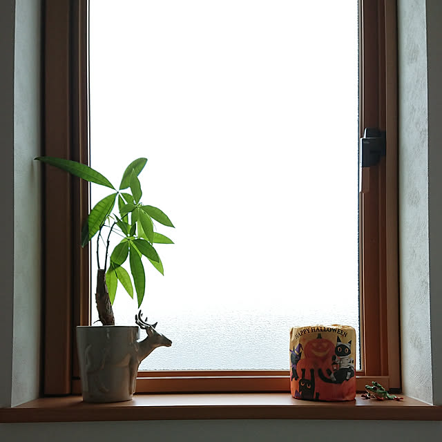 reguさんの実例写真