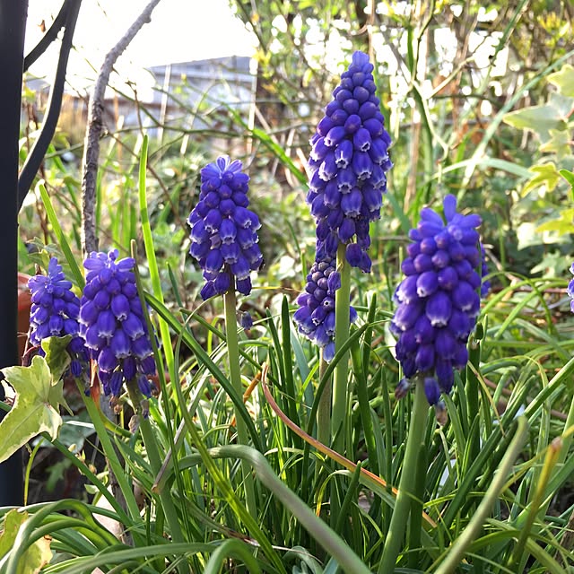 yuhigakireiさんの実例写真