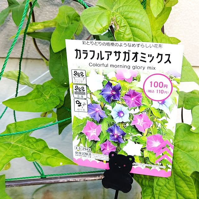 katさんの実例写真