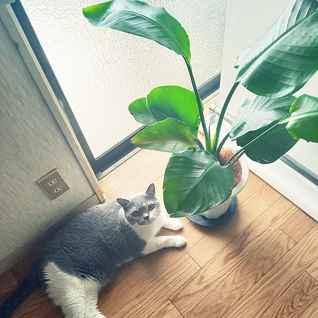 rhuさんの実例写真