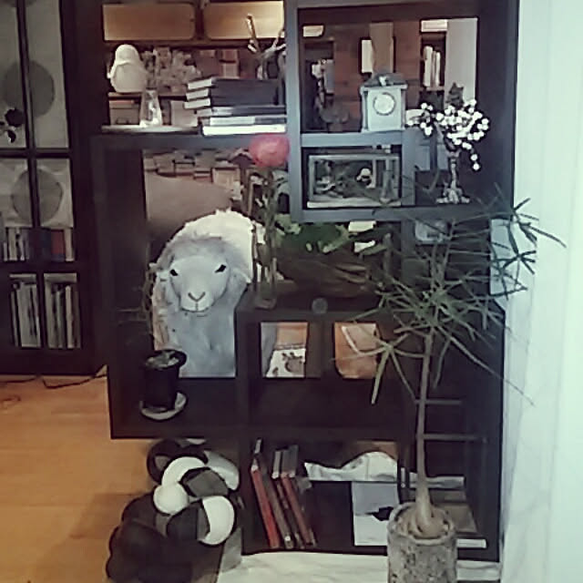 spinetailさんの実例写真