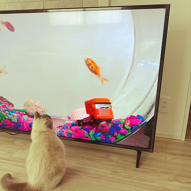 gingerwynksさんの実例写真
