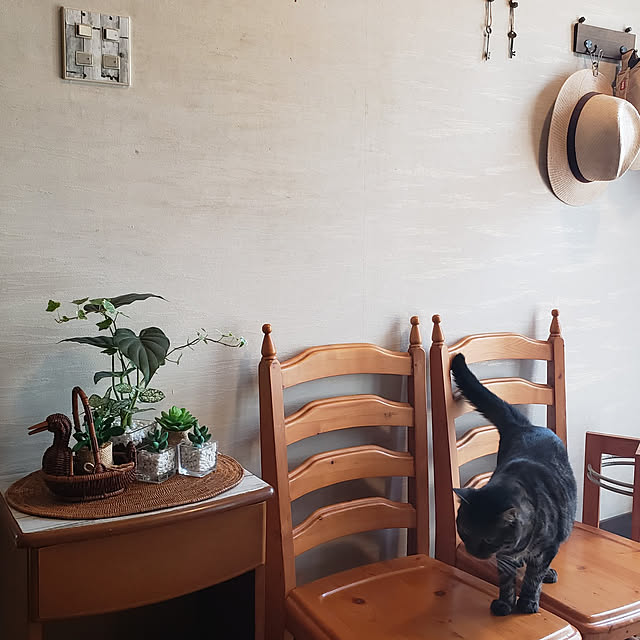 Mayumi8888さんの実例写真