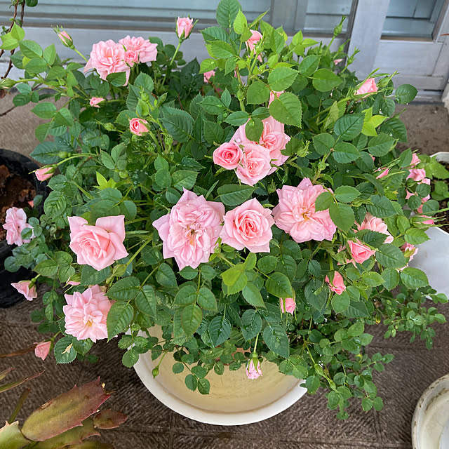 yuko.sgt0726さんの部屋