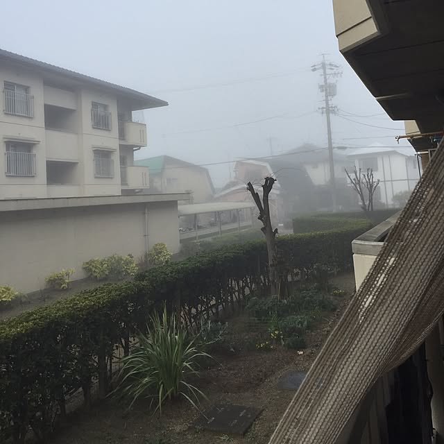 bananaさんの実例写真