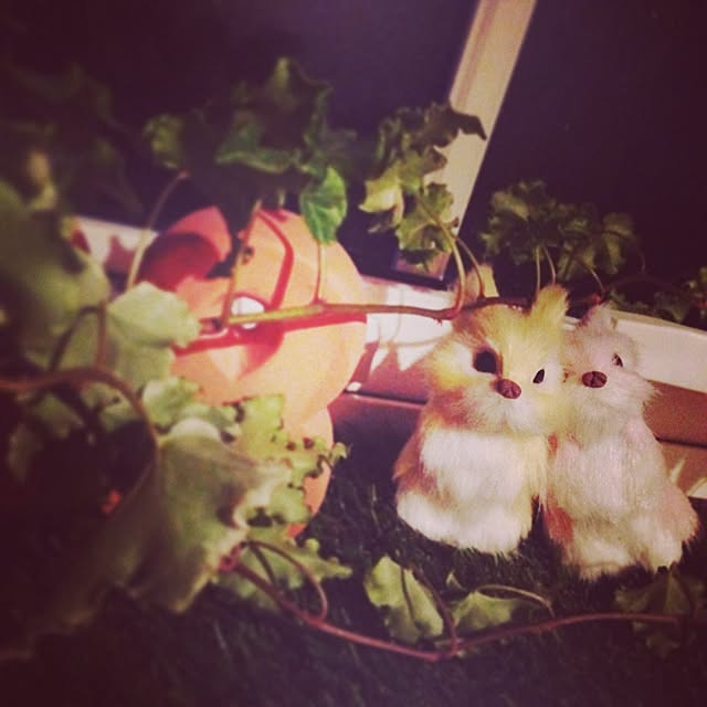 koyuさんの実例写真