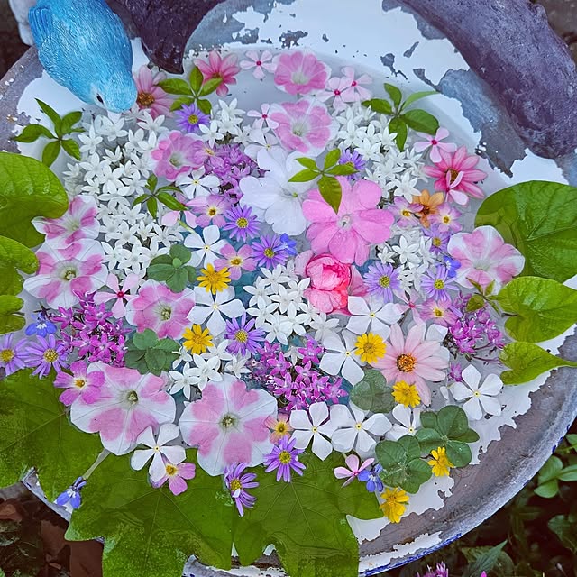 mocomocoさんの部屋