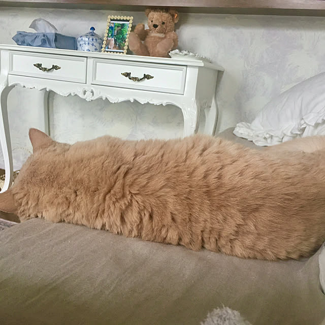 naokoさんの実例写真