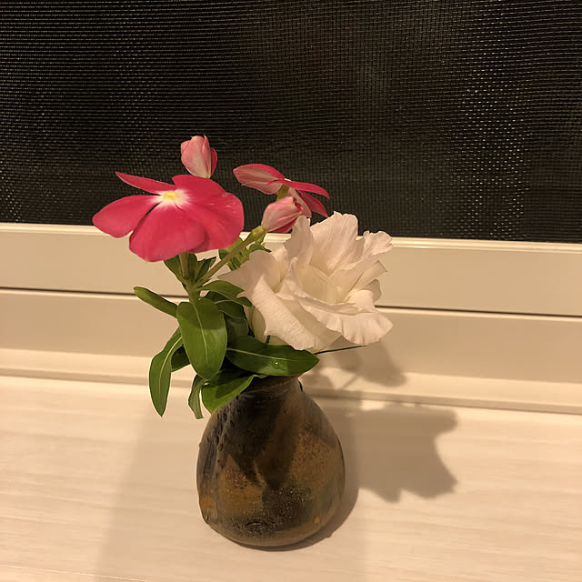 garikoさんの実例写真