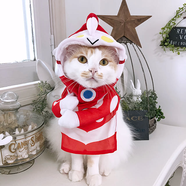 yuchiさんの実例写真