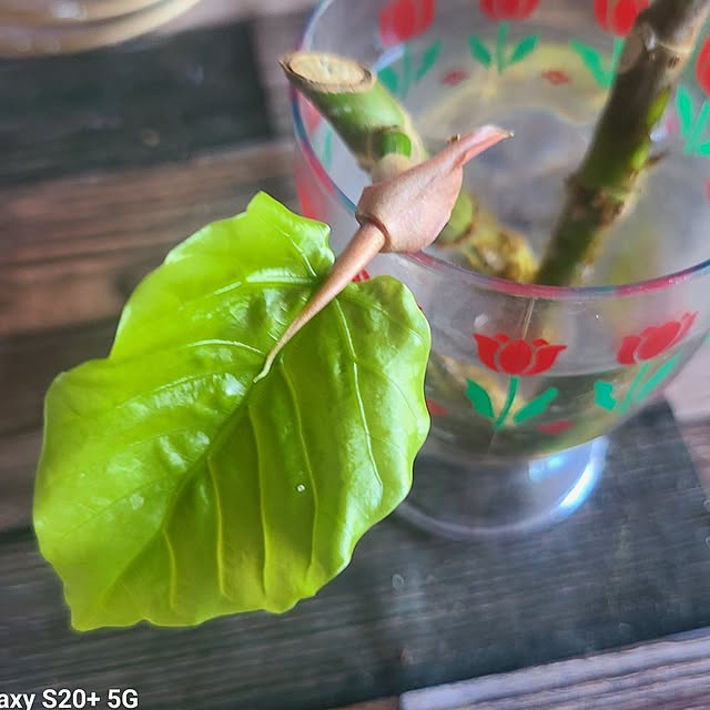 monnさんの部屋