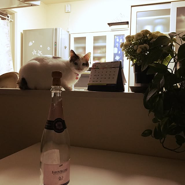 mi_koさんの実例写真