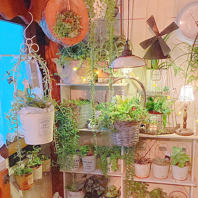 Hanakaさんの部屋