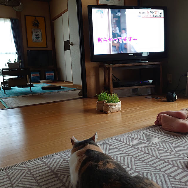 fukuさんの実例写真