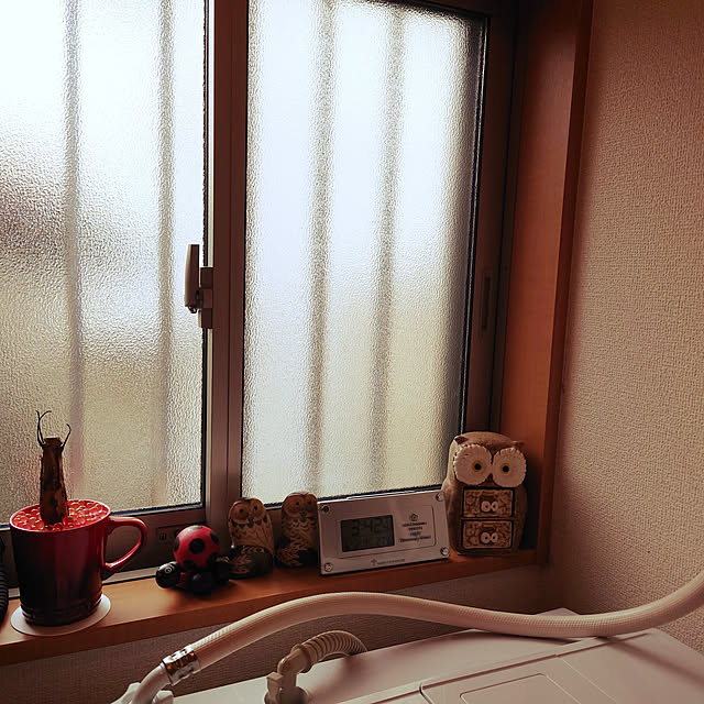 noguriさんの実例写真