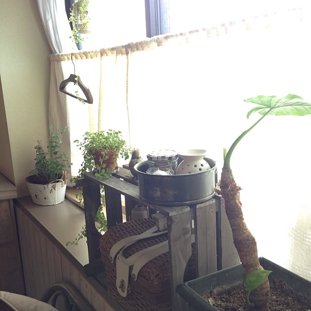 ai.さんの実例写真