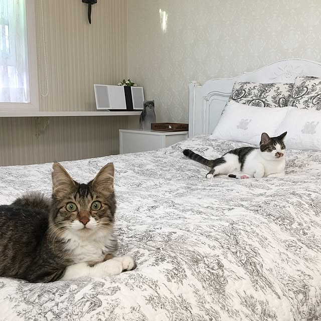 yuchiさんの実例写真