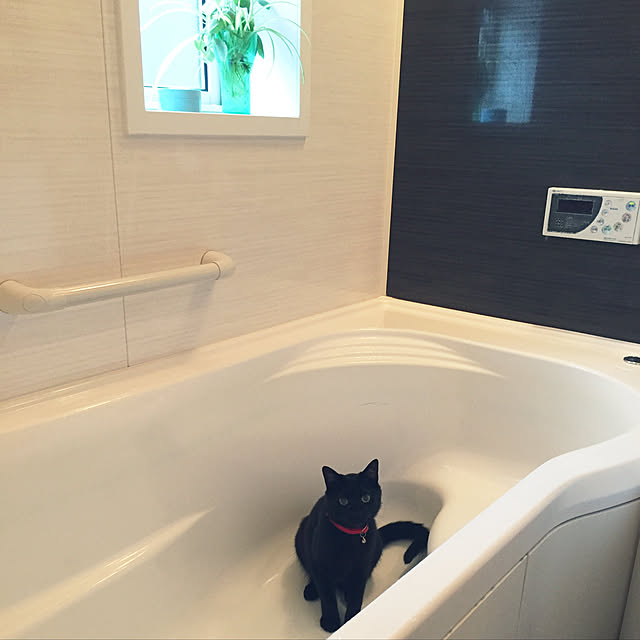 nanaさんの実例写真