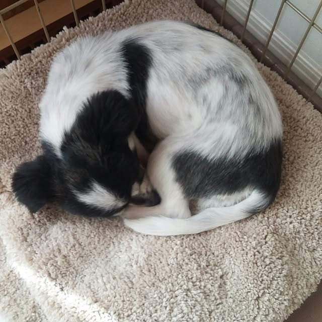 yukkoさんの実例写真