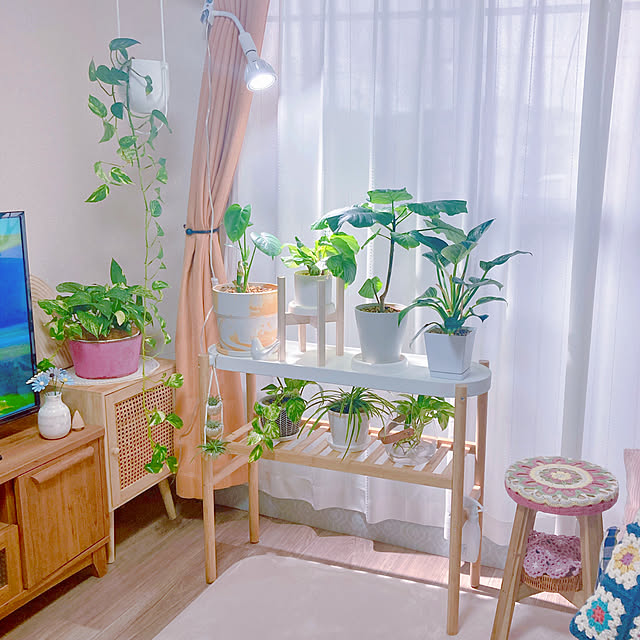 リビング/観葉植物のある暮らし/IKEA/育成ライト/買ってよかったもの...などのインテリア実例 - 2023-12-16 11:13:08