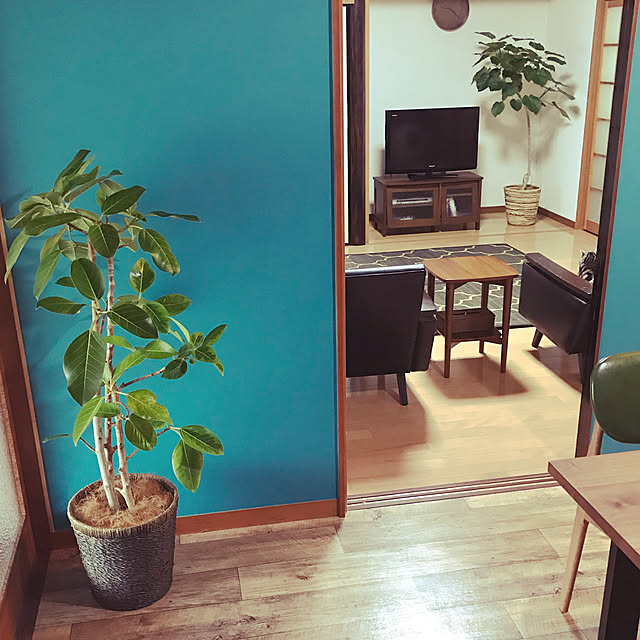 jukai8153さんの実例写真