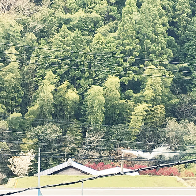 kanaさんの実例写真