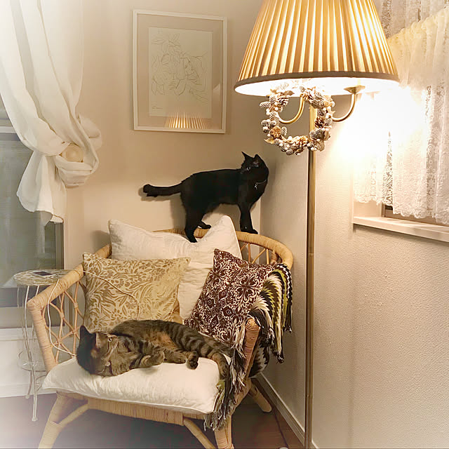 Tomococoroさんの実例写真