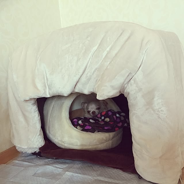 keiさんの実例写真