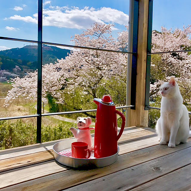sakurasakuさんの実例写真