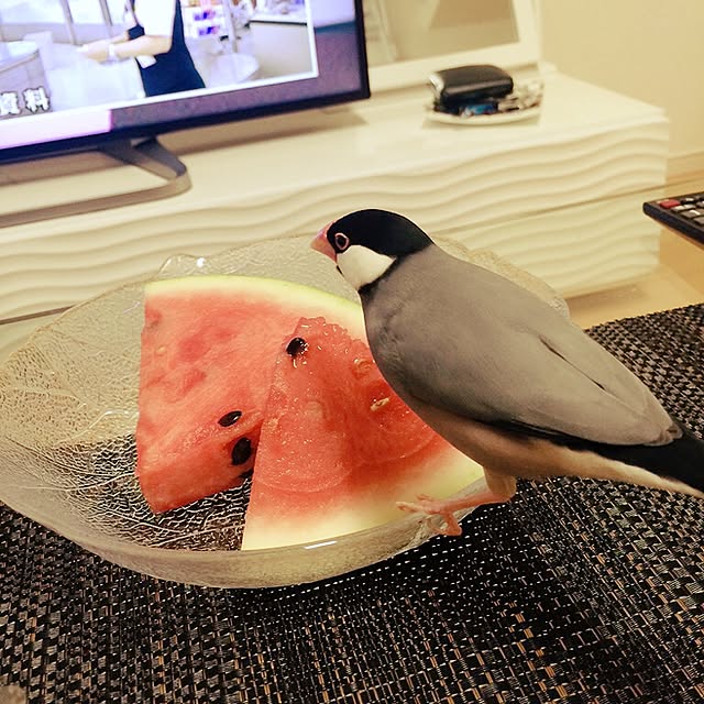 kaoさんの実例写真
