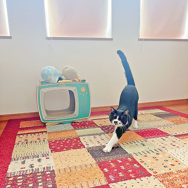star..さんの部屋
