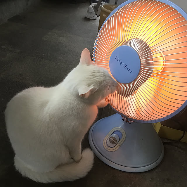 marinnさんの部屋