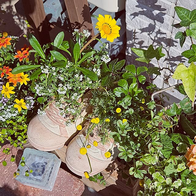 mocomocoさんの実例写真