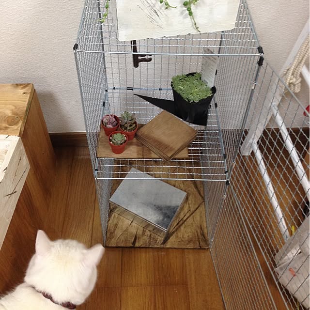 Yukiさんの実例写真