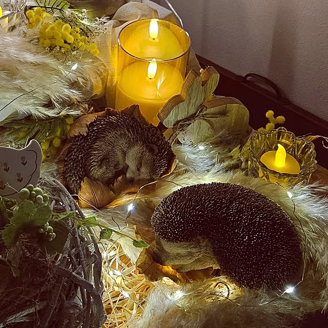 mocomocoさんの部屋