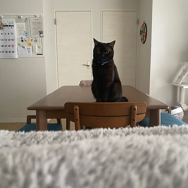 okapiさんの部屋